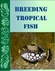 Thumbnail Breeding Tropical Fish Thumbnail Breeding Tropical Fish