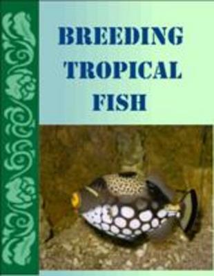 Product picture Breeding Tropical Fish