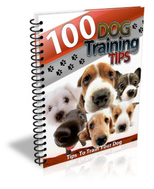 Product picture 100 Dog Training Tips